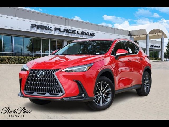 2025 Lexus NX 250