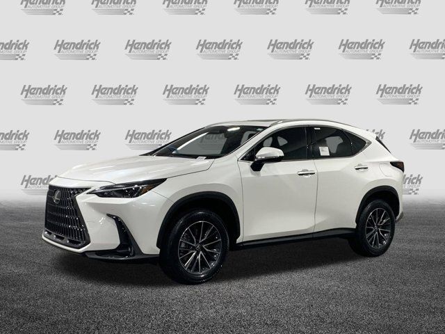 2025 Lexus NX 250