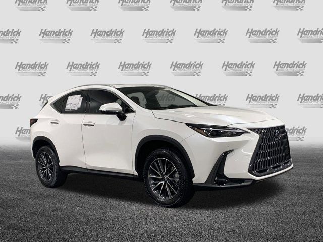 2025 Lexus NX 250