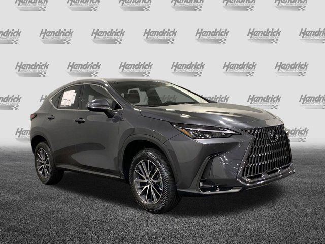 2025 Lexus NX 250