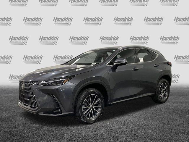 2025 Lexus NX 250