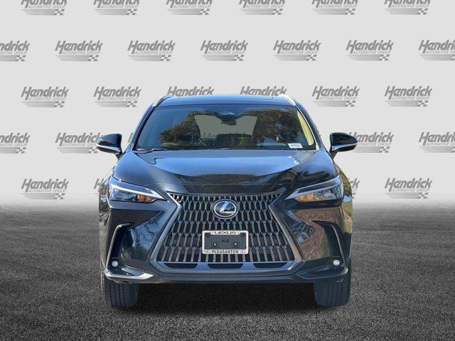 2025 Lexus NX 250