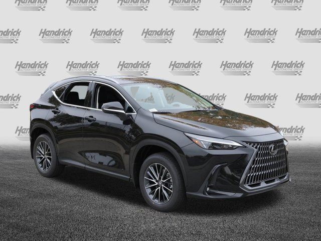 2025 Lexus NX 250