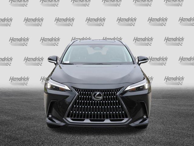 2025 Lexus NX 250