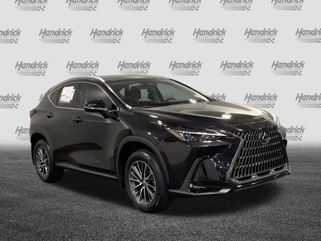 2025 Lexus NX 250