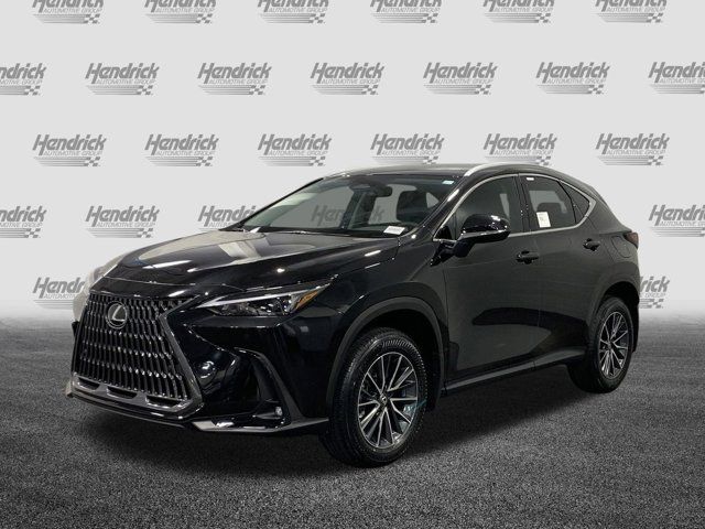 2025 Lexus NX 250