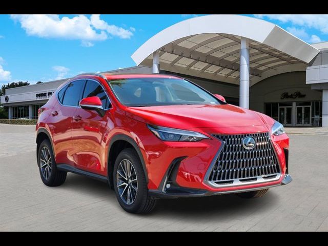 2025 Lexus NX 250