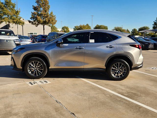 2025 Lexus NX 250