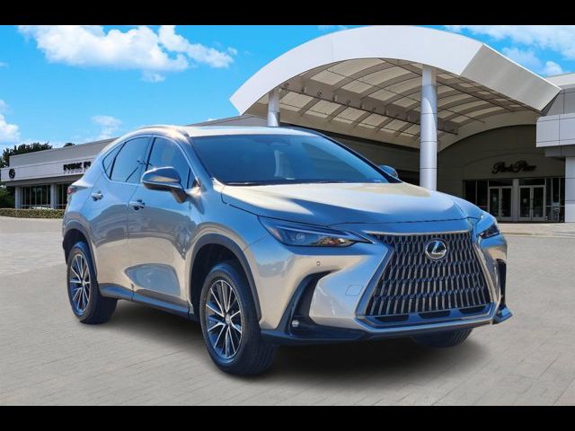 2025 Lexus NX 250