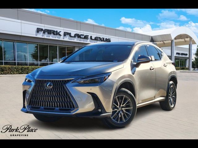 2025 Lexus NX 250