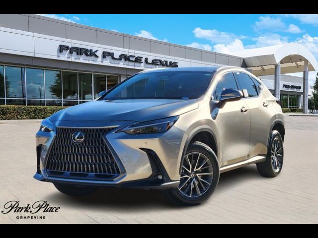 2025 Lexus NX 250