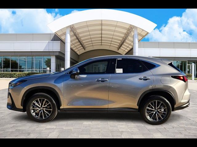 2025 Lexus NX 250