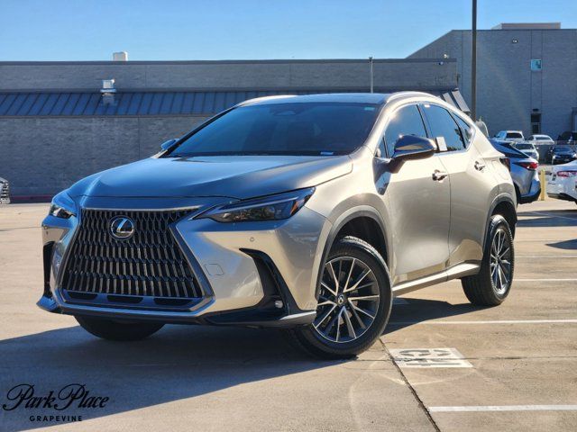 2025 Lexus NX 250