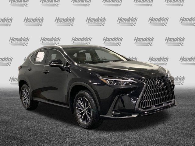 2025 Lexus NX 250