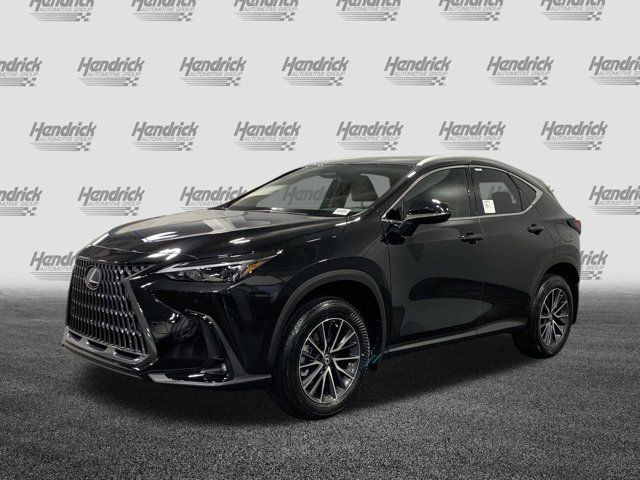 2025 Lexus NX 250