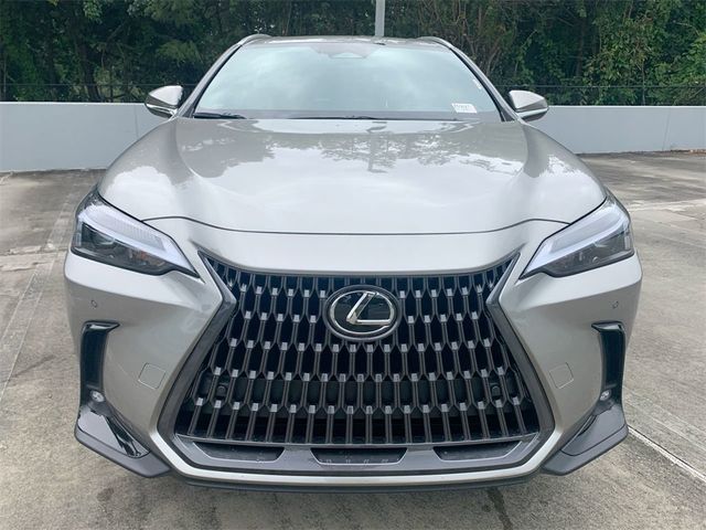 2025 Lexus NX 250