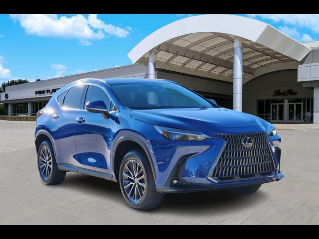 2025 Lexus NX 250