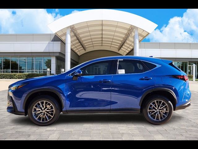 2025 Lexus NX 250