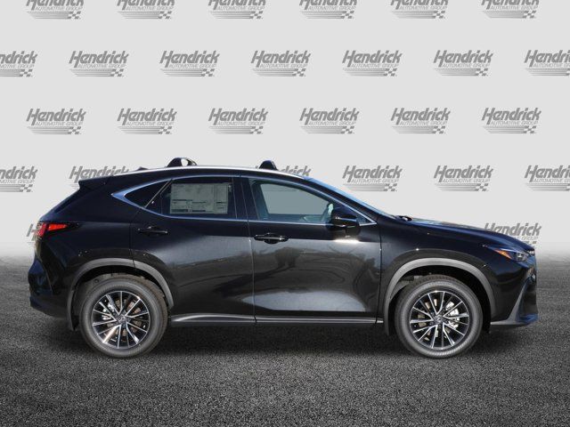 2025 Lexus NX 250