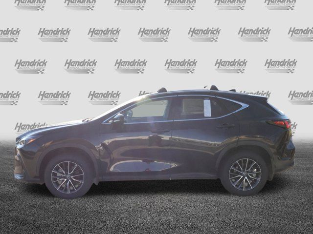 2025 Lexus NX 250