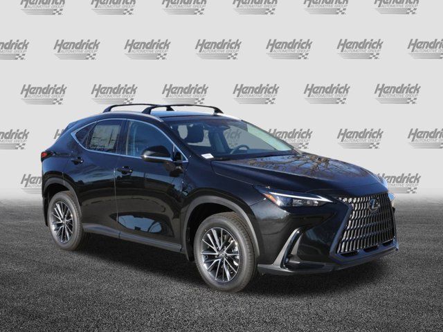 2025 Lexus NX 250