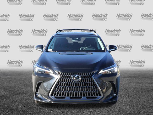 2025 Lexus NX 250