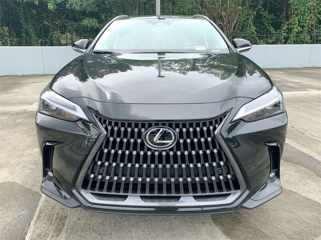 2025 Lexus NX 250