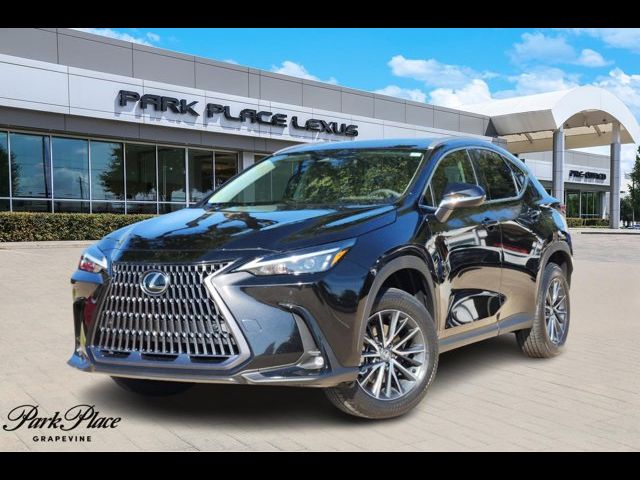 2025 Lexus NX 250