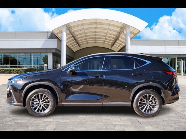 2025 Lexus NX 250