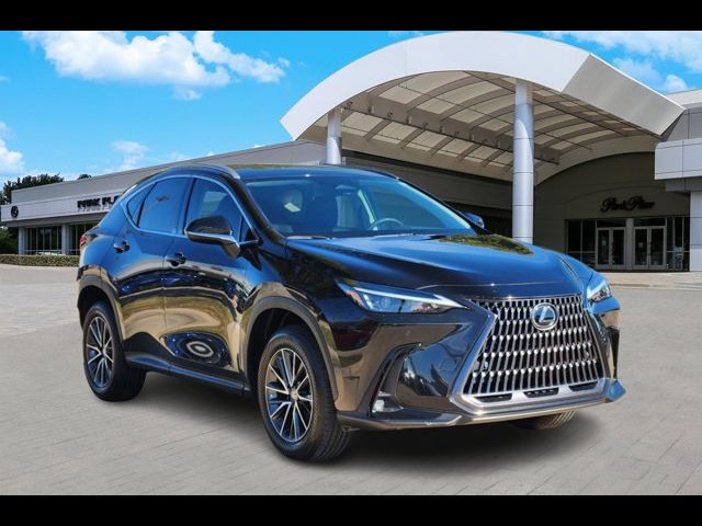 2025 Lexus NX 250