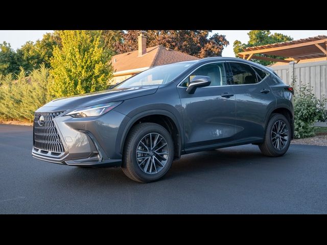 2025 Lexus NX 250