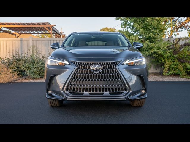 2025 Lexus NX 250