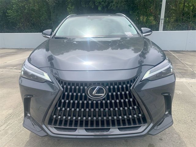 2025 Lexus NX 250