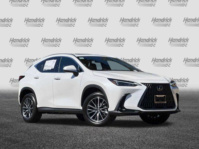 2025 Lexus NX 250