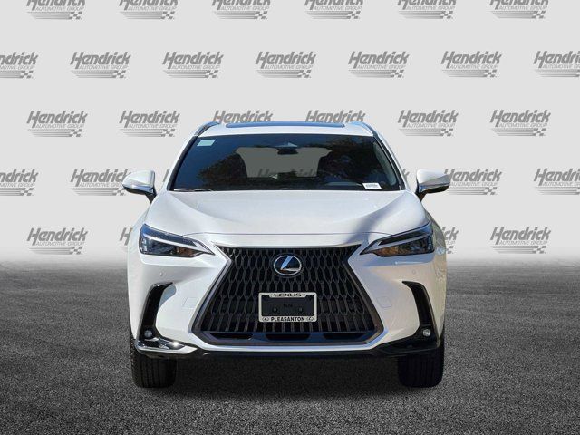 2025 Lexus NX 250