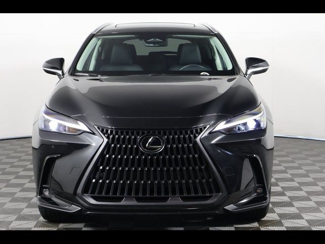 2025 Lexus NX 250