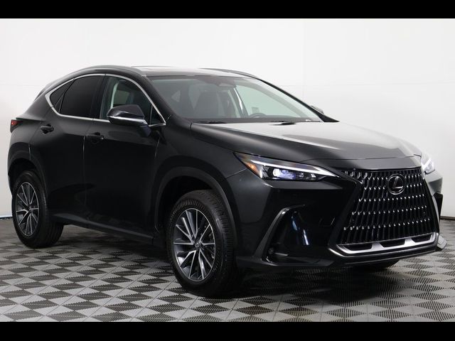 2025 Lexus NX 250