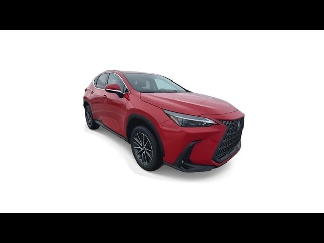 2025 Lexus NX 250