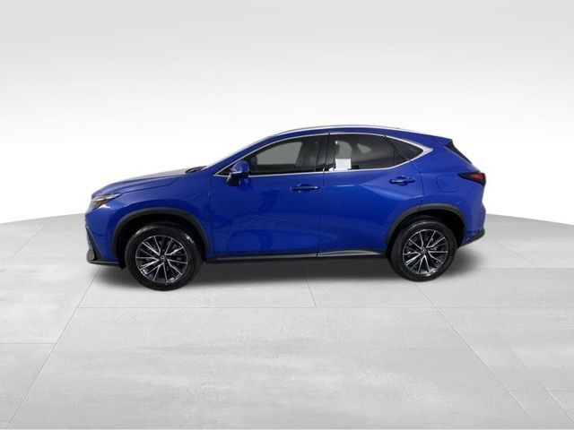 2025 Lexus NX 250