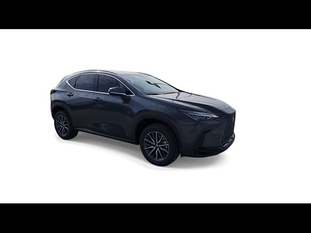 2025 Lexus NX 250