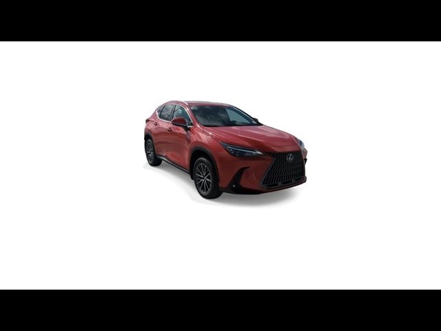 2025 Lexus NX 250