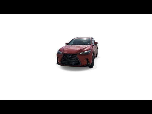 2025 Lexus NX 250