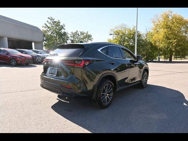 2025 Lexus NX 250