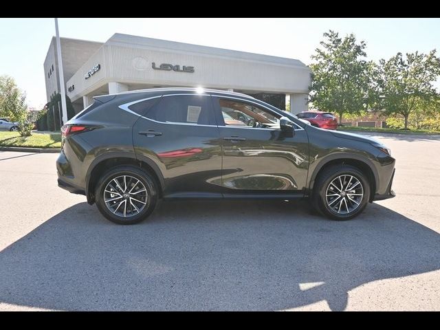 2025 Lexus NX 250