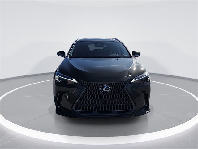 2025 Lexus NX 250