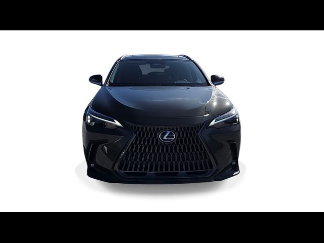 2025 Lexus NX 250