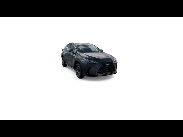 2025 Lexus NX 250