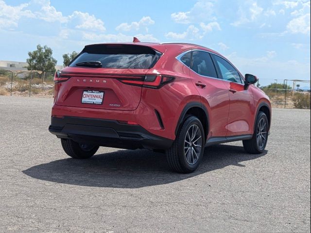 2025 Lexus NX 250