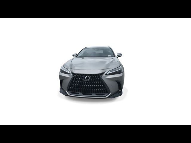 2025 Lexus NX 250