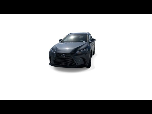 2025 Lexus NX 250